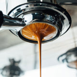 Indonesia Sumatra Mandheling TP Grade 1 // NEW